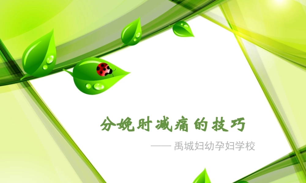 分娩时减痛的技巧.ppt