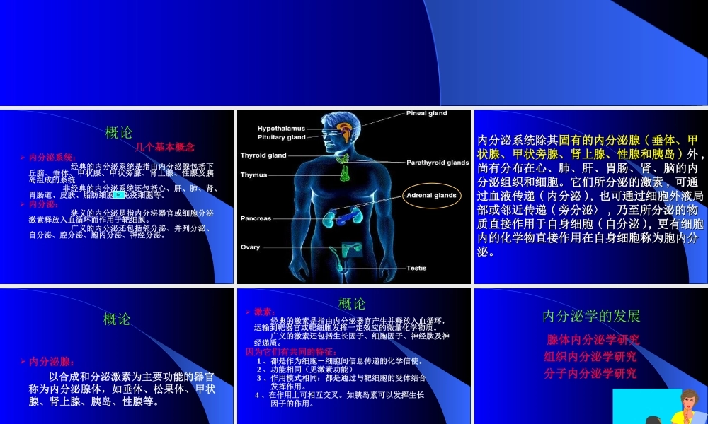 内分泌总论(较好).ppt