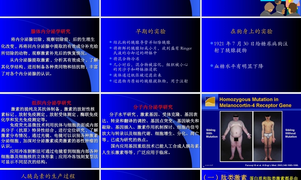 内分泌总论(较好).ppt