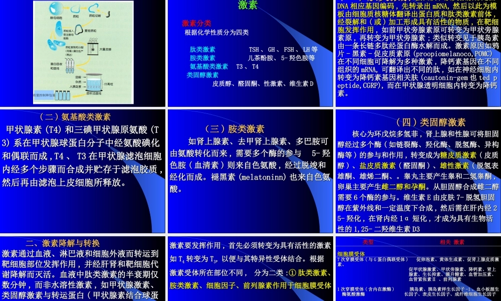 内分泌总论(较好).ppt