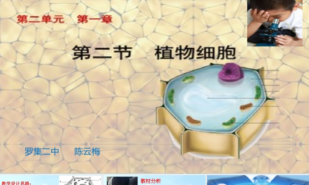 制作并观察植物细胞临时装片.ppt