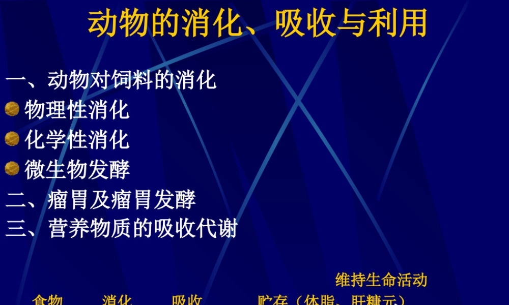 动物的消化、吸收和利用.ppt