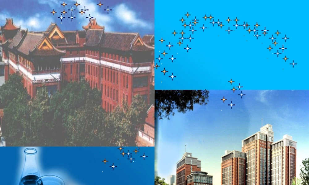 冠心病防治ppt..ppt