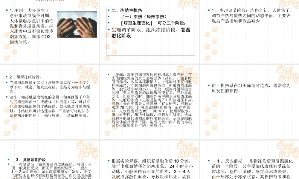 冻伤急救.ppt