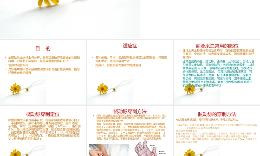 动脉采血技术.ppt