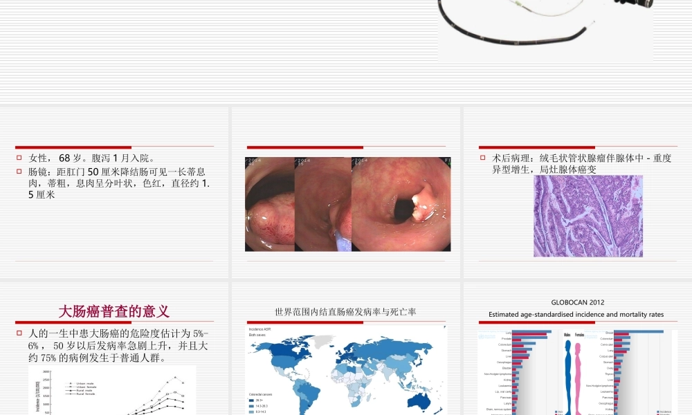 大肠癌普查与随访.ppt