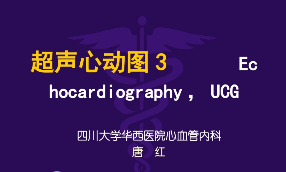 华西医科大精品课程-超声心动图3-异常.ppt