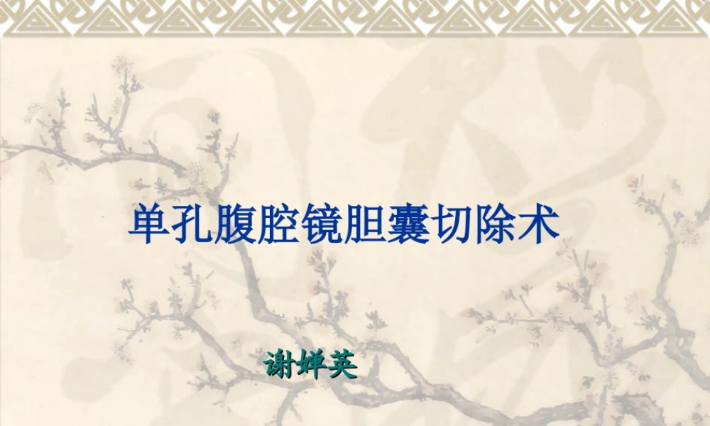 单孔腹腔镜下胆囊切除术.ppt