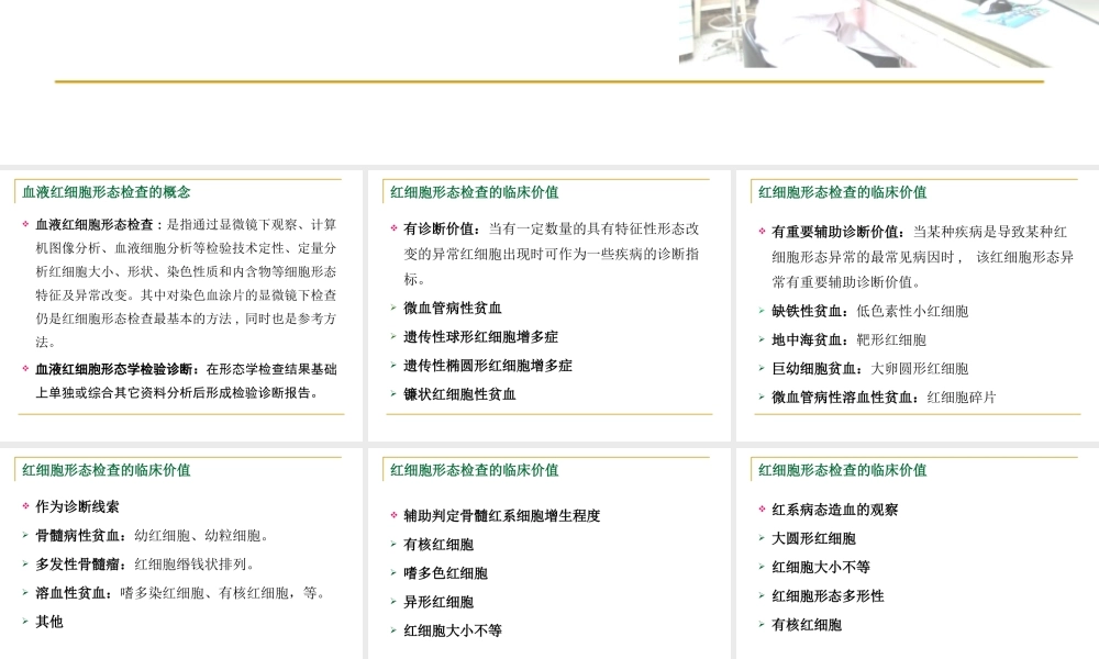 卵圆形红细胞.ppt