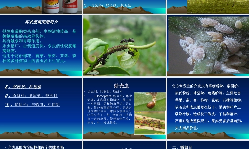 农药学基础-4-1-杀虫剂.ppt