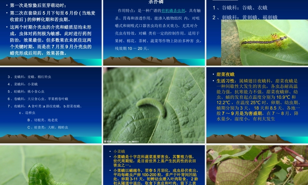 农药学基础-4-1-杀虫剂.ppt