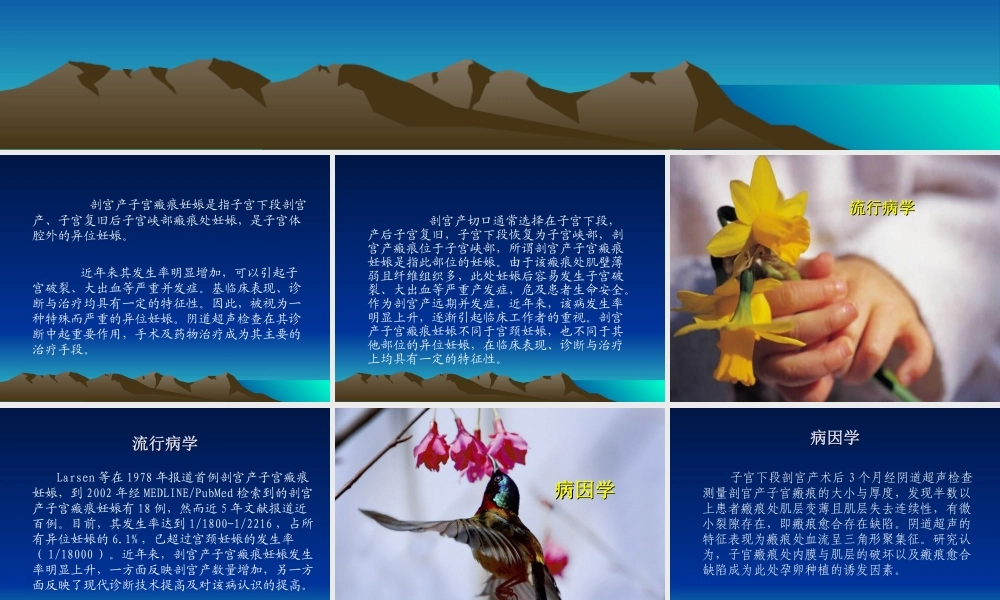 剖宫产子宫瘢痕妊.ppt