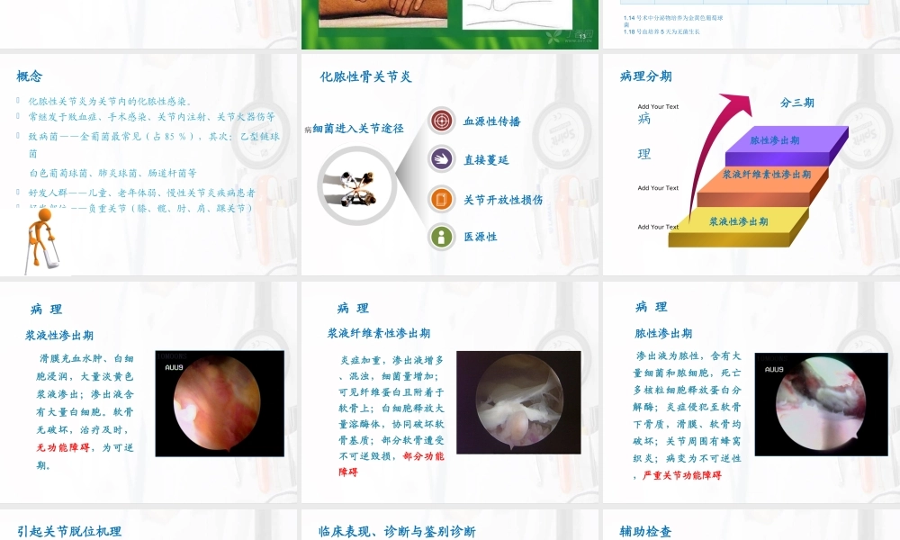 化脓性关节炎查房.ppt