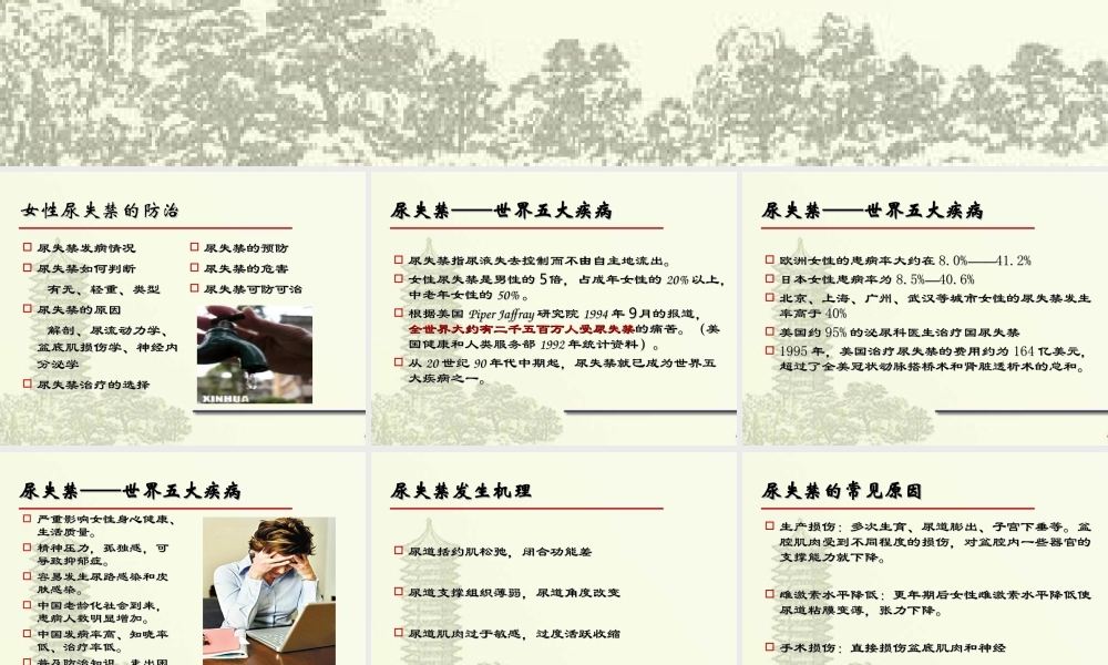 女性尿失禁讲座.ppt