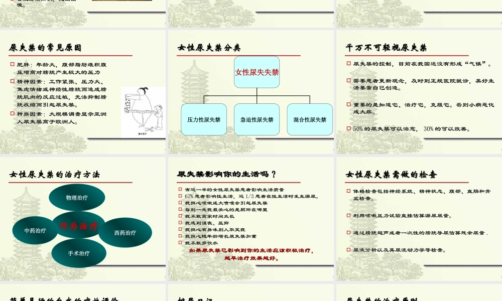 女性尿失禁讲座.ppt