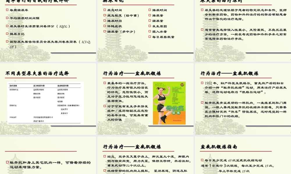 女性尿失禁讲座.ppt