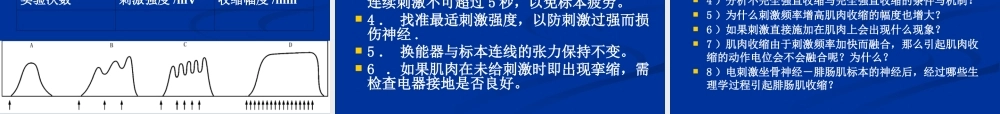 刺激强度刺激频率与骨骼肌收缩的关系..ppt