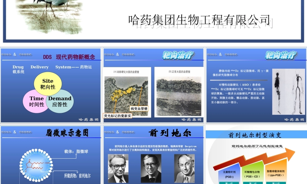 前列地尔-脏器保护ICU.ppt