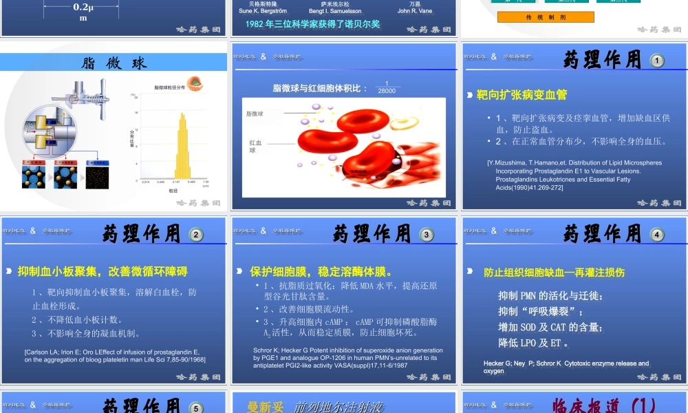 前列地尔-脏器保护ICU.ppt