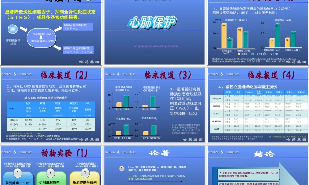 前列地尔-脏器保护ICU.ppt