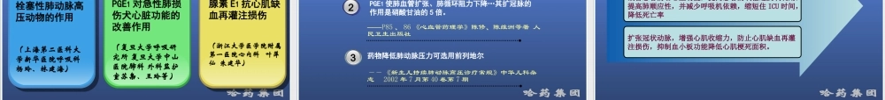 前列地尔-脏器保护ICU.ppt