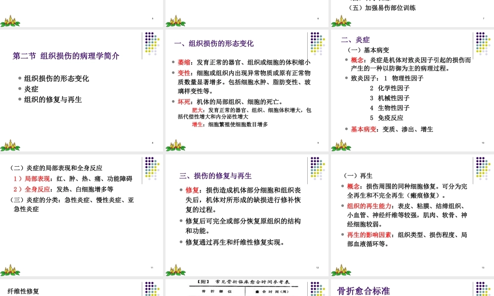 创伤概论要点.ppt