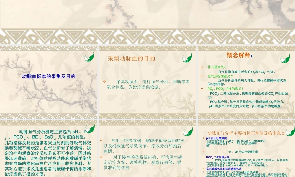 动脉血气分析模板.ppt