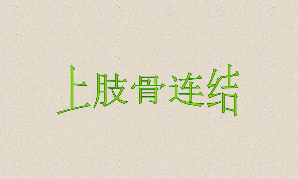 四肢骨连结.ppt