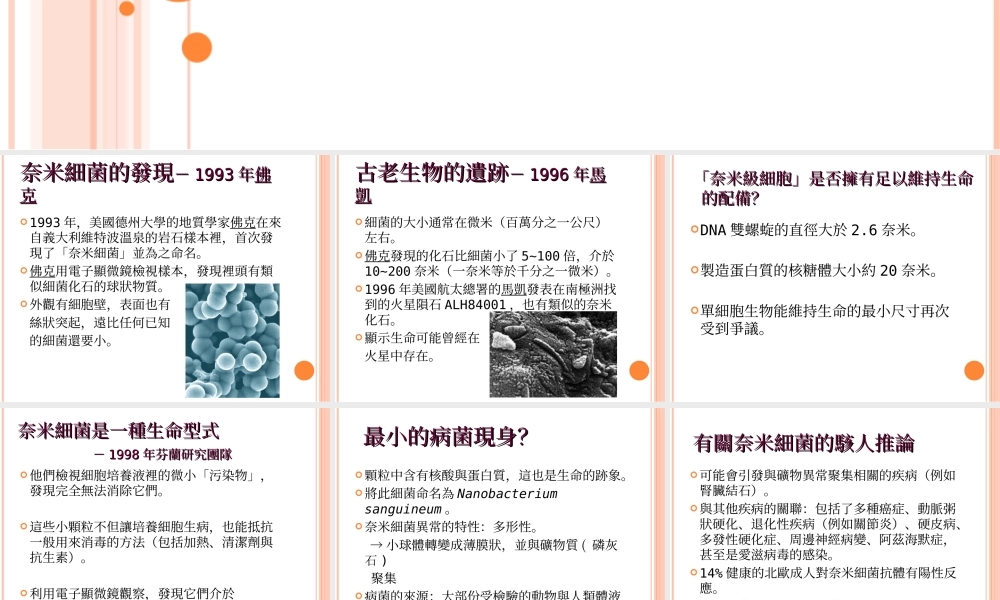 奈米细菌的真面目.ppt