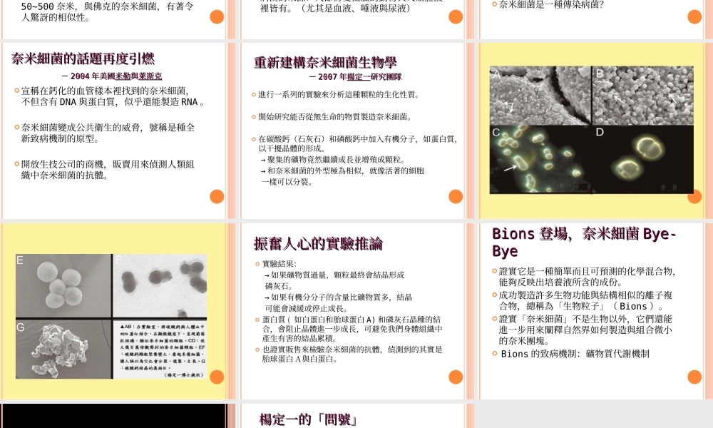 奈米细菌的真面目.ppt