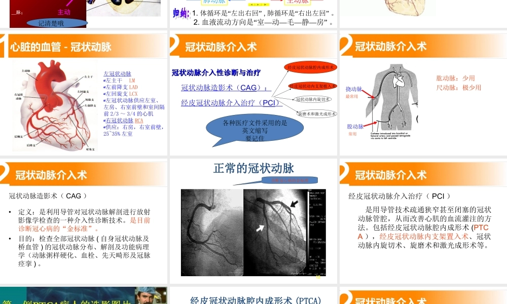 冠脉介入术.ppt