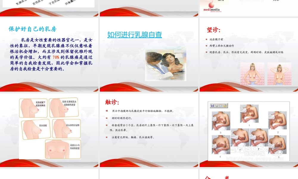 女性健康知识讲座-3月8日使用-(1)-(1).ppt