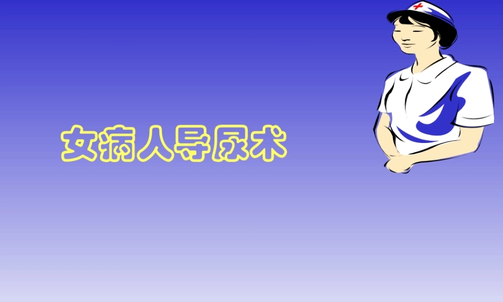 女病人导尿术.ppt