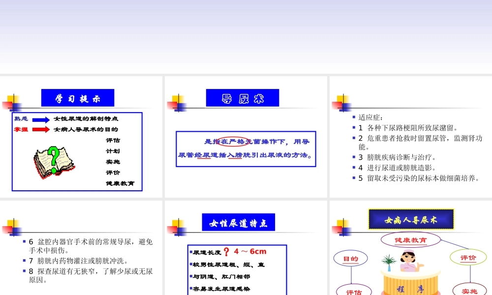 女病人导尿术.ppt