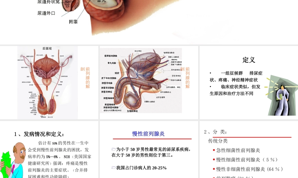 前-列-腺-炎综合征.ppt