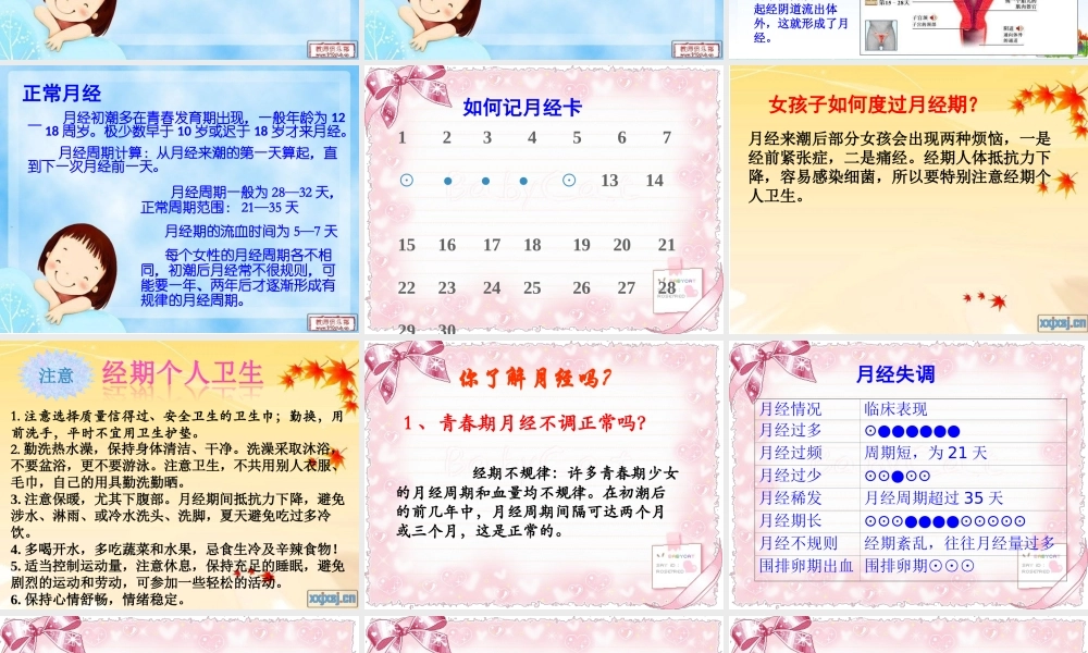 女生青春期健康知识讲座.ppt