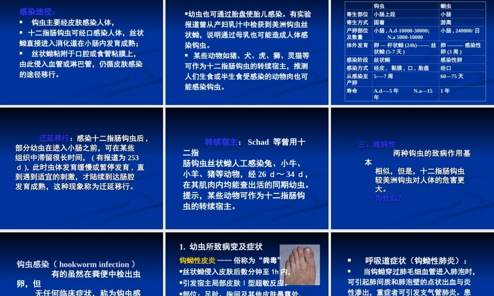 十二指肠钩口线虫和美洲板口线虫.ppt