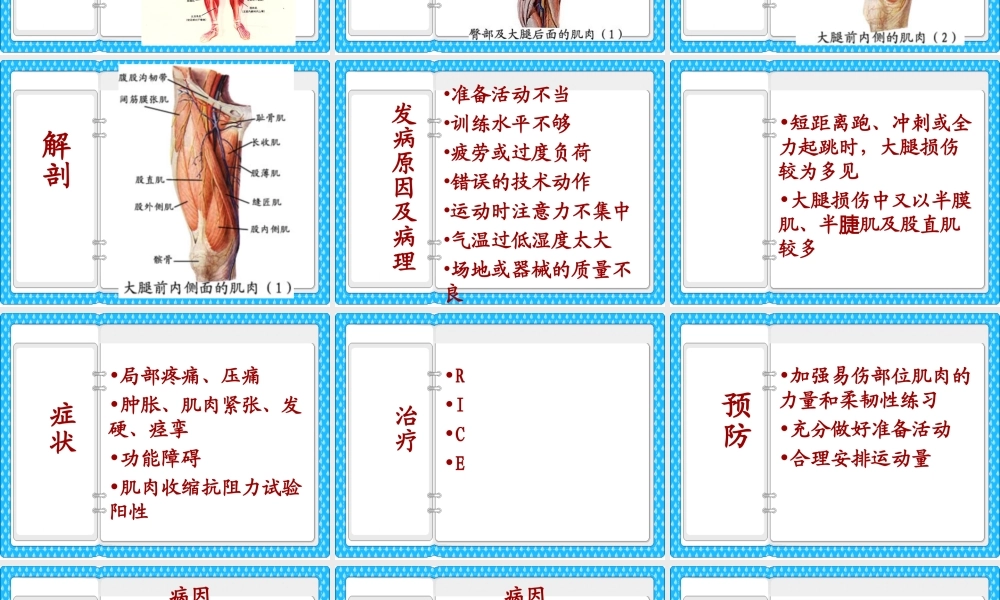 大腿损伤及功能康复.ppt