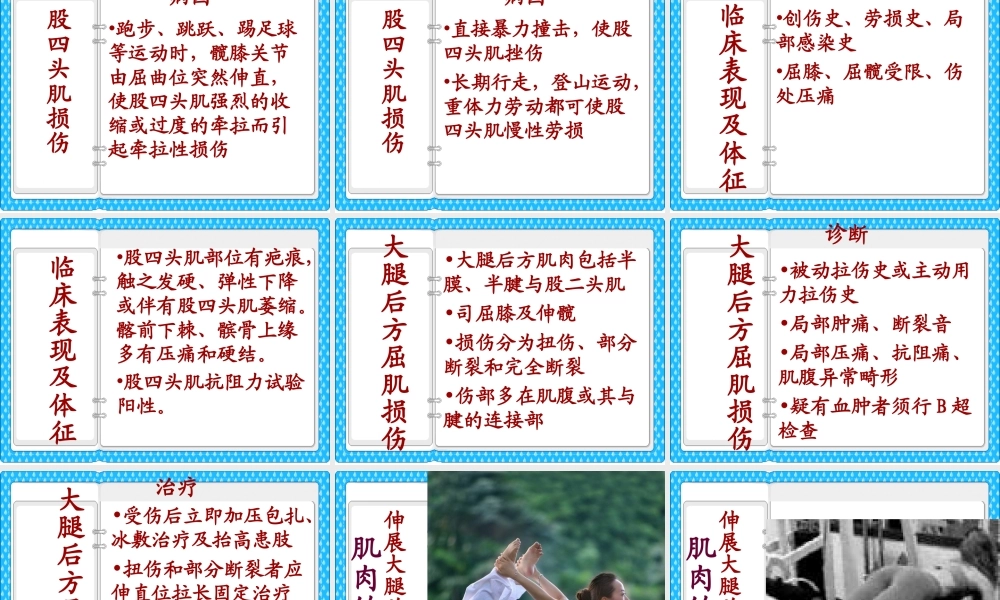 大腿损伤及功能康复.ppt