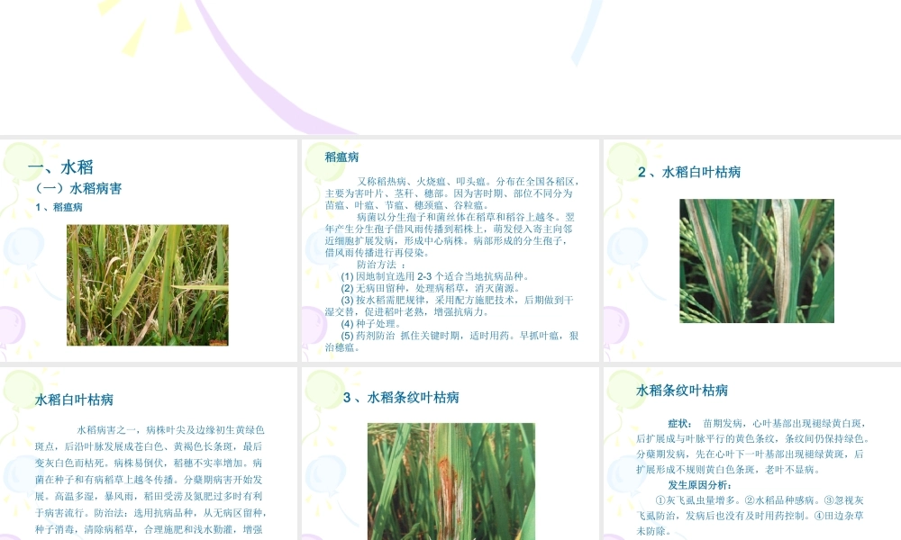 农作物病虫害图解.ppt