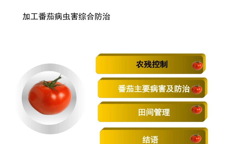 农残控制体系和病虫害综合防治.ppt