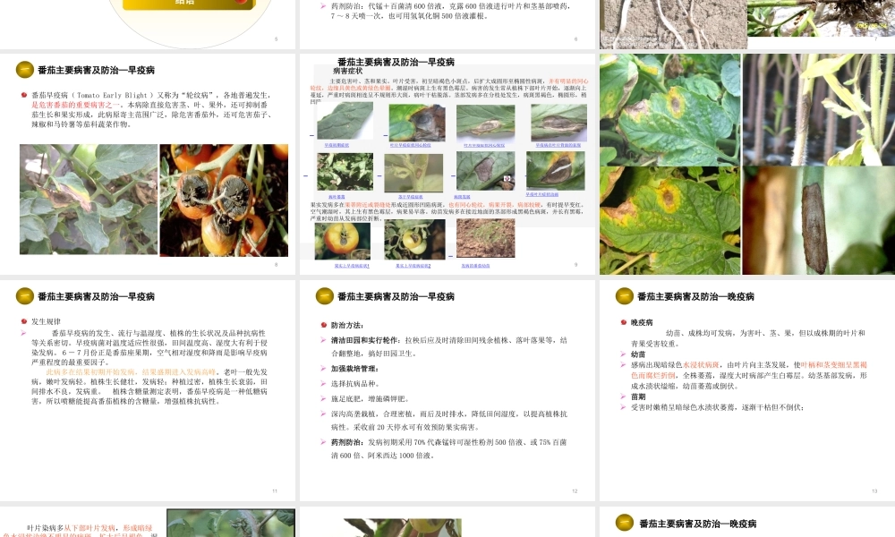 农残控制体系和病虫害综合防治.ppt