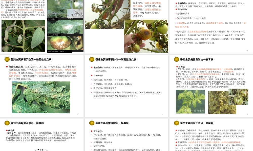 农残控制体系和病虫害综合防治.ppt