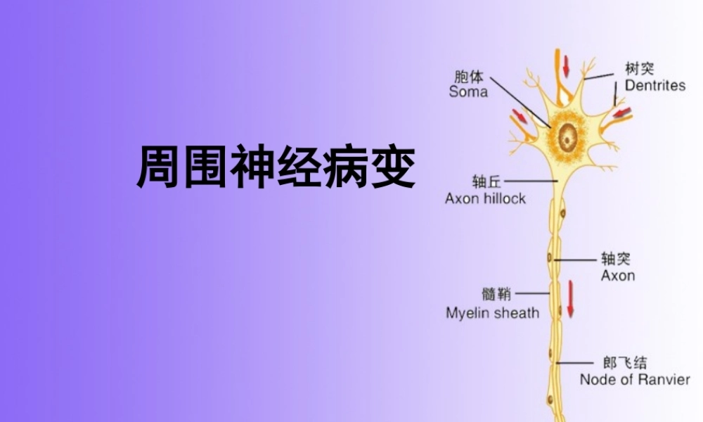 周围神经病.ppt