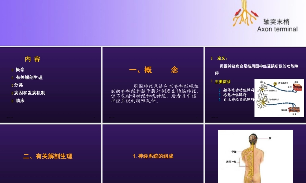 周围神经病.ppt