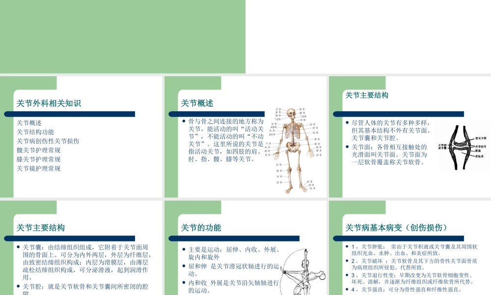 关节外科相关知识.ppt