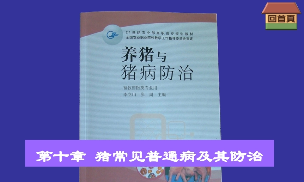 动物营养与饲料学.ppt