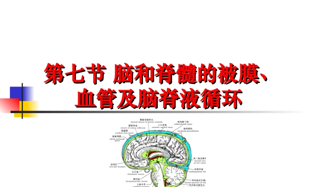 中枢神经系统(六脑和脊髓的被膜、血管及脑脊液循环-).ppt
