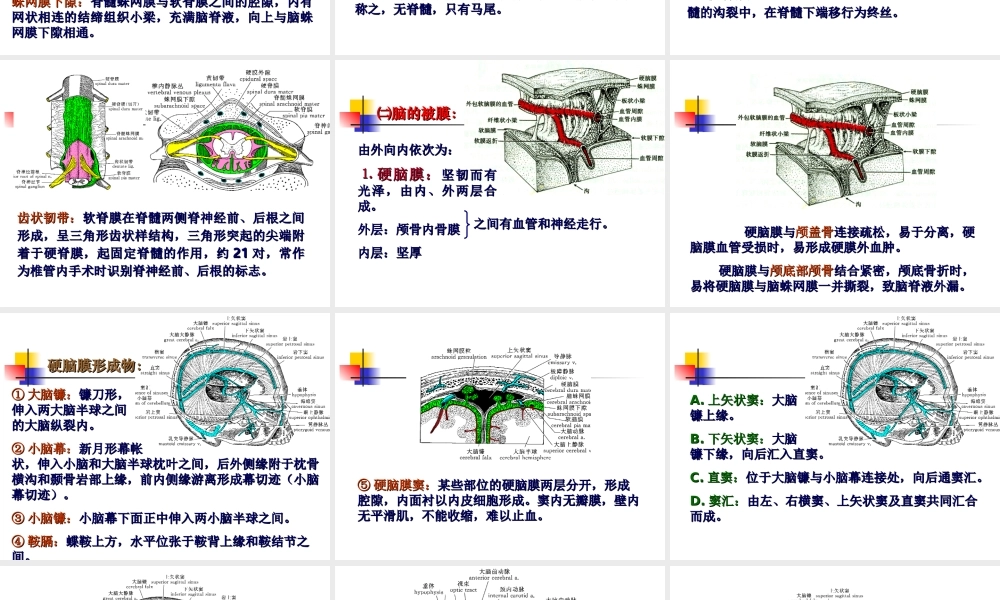 中枢神经系统(六脑和脊髓的被膜、血管及脑脊液循环-).ppt