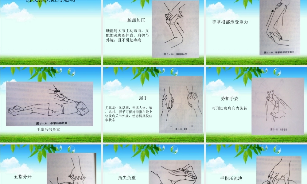 偏瘫患者的康复锻炼.ppt